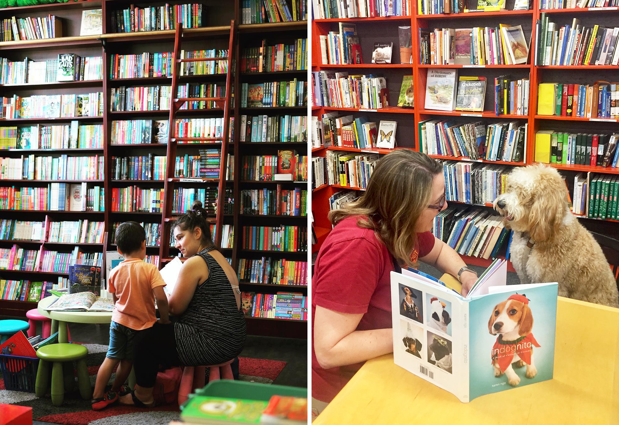 Reading at Reading's in Melbourne, and reading for treats at Bookmans.