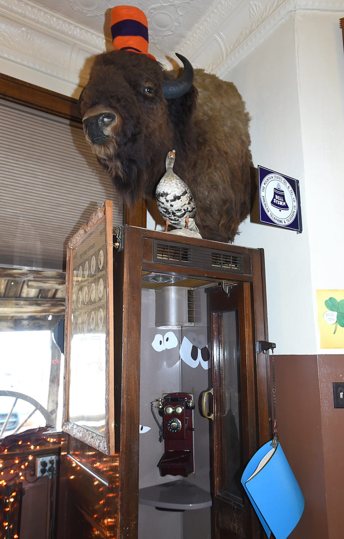 A former owner of the Jersey Lilly had to put down a large buffalo when it got too rowdy. Nygren now decorates him for each holiday.