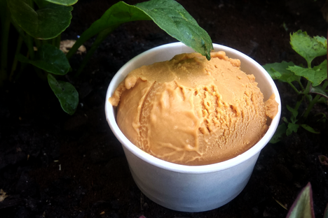 The matemba ice cream flavor mixes salt-cured fish with toffee.