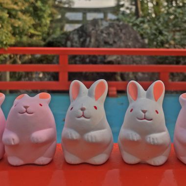 Bunnies