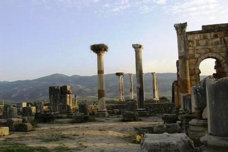 Storks nests atop columns.