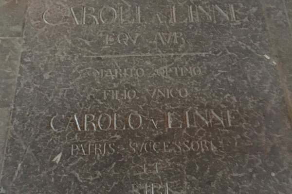 Memorial of Carl Linnaeus.
