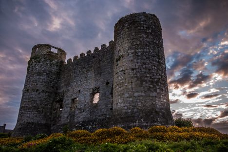 Carlow Castle early morning.