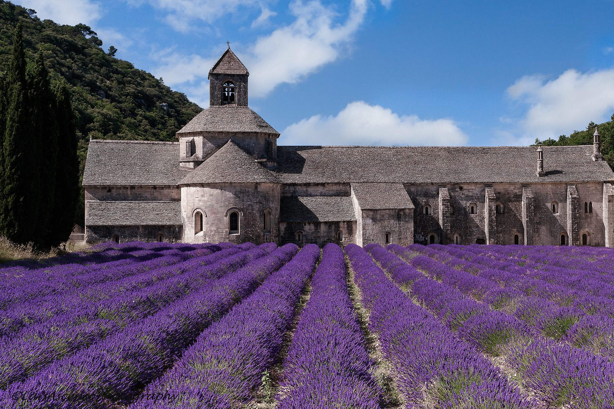 Sénanque Abbey has a certain otherworldly beauty.