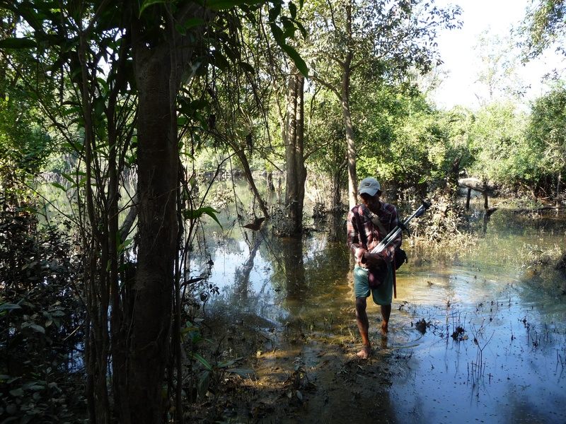 On the track of the pink-headed duck in 2014.