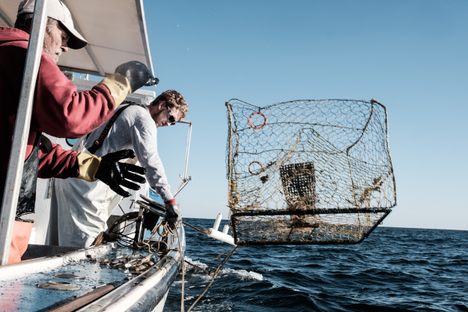 Tyler G. Tyler, right, pulls crab pots at the start of blue crab season.