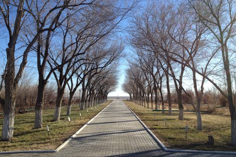 Cosmonaut Grove.