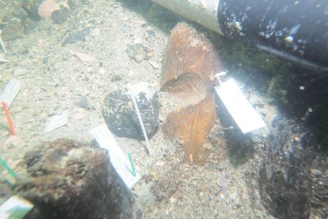 A notched stake marked a burial place.