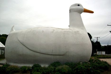 Big Duck