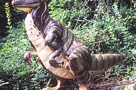 Camptosaurus on the rocks.