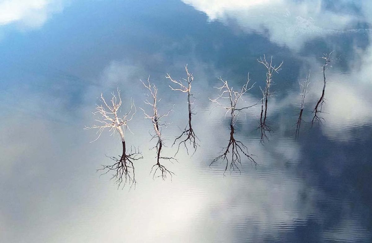 Lake Guerlédan, France, by Nicolas Charles. Latitude 48.2097, Longitude -3.0844, Altitude 98 ft.