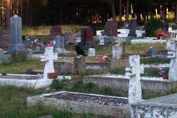 This image displays the Lithuanian corner of the cemetery. The Croat section is nearby in a heavily wooded area.