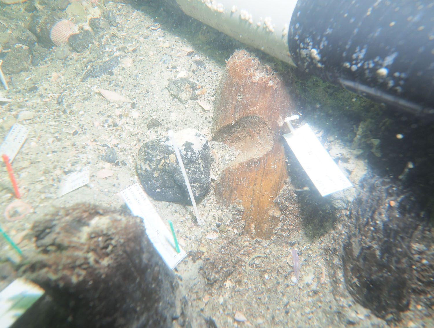 A notched stake marked a burial place.