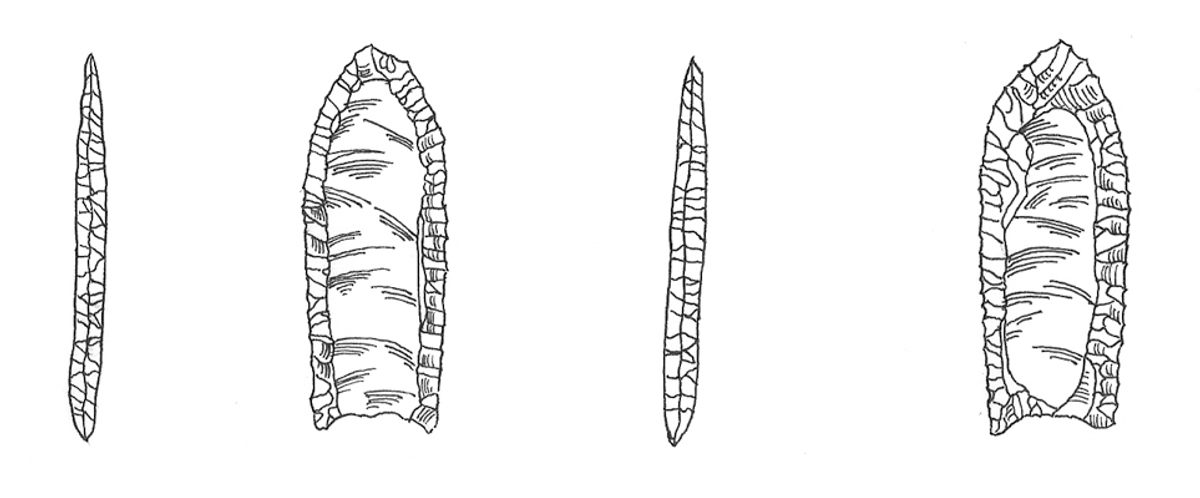 Drawing of a Folsom point from New Mexico.