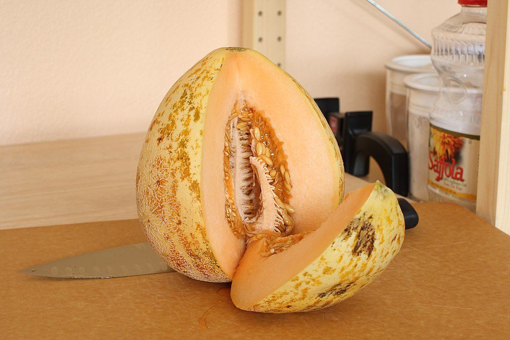 To try a Crane melon, either travel to Santa Rosa, or grow your own.