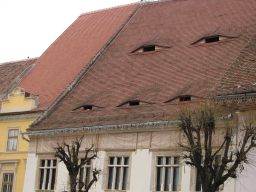 Houses with eyes.