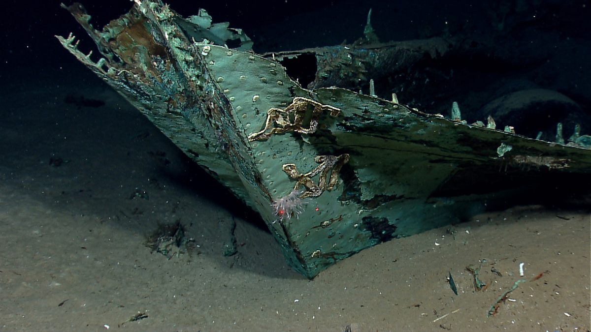 Copper sheathing on the hull of the Monterrey A wreck.
