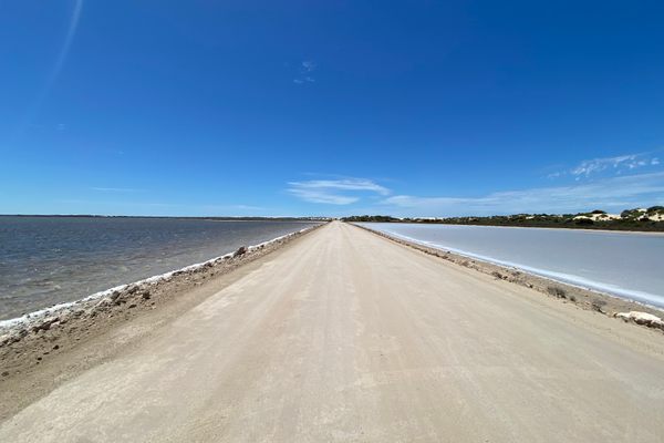 Lake Macdonnell
