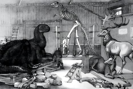 Designed by English sculptor Benjamin Waterhouse Hawkins, models of dinosaurs and other prehistoric animals were destined for Central Park's never-realized Paleozoic Museum.