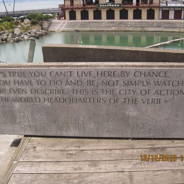 Wellington has a rich literary history. 