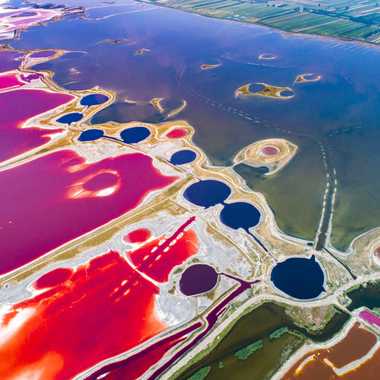 The salt lake becomes colorful in warm temperatures because of algae growth