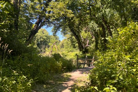 Fontenelle Forest, one of the best places to hike in Nebraska