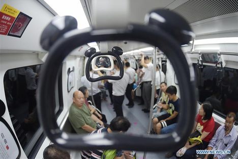 Check Out This Panda-Themed Train Just Unveiled in China
