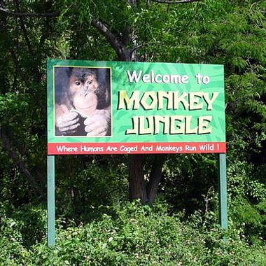 Monkey Jungle entrance. (Flickr)