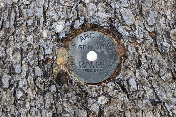 Joan of Arc medallion