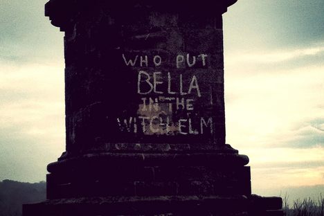 Who Put Bella In the Witch Elm?