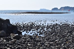 Photo of Kamakura