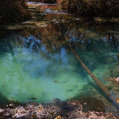 Montauk Springs