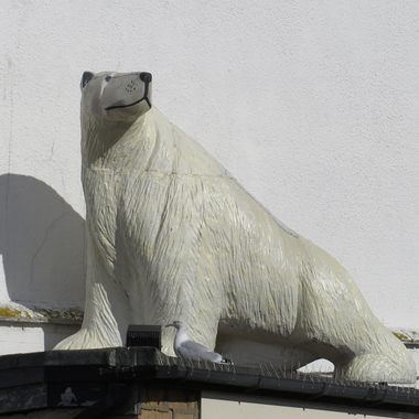 Scoresby's Polar Bear