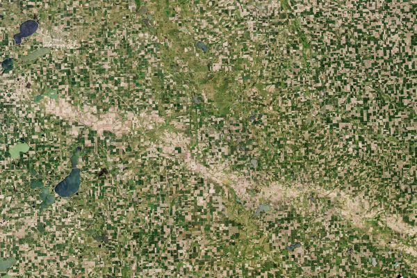Hail scar through the green cornfields of South Dakota. 