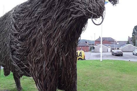 The Wicker Bull