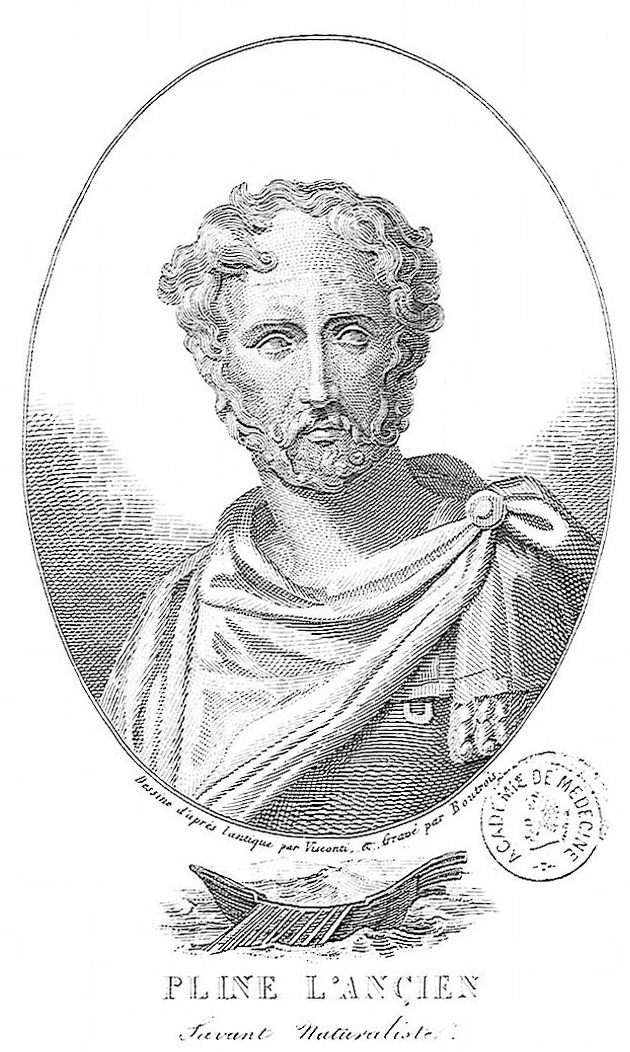 Pliny the Elder.