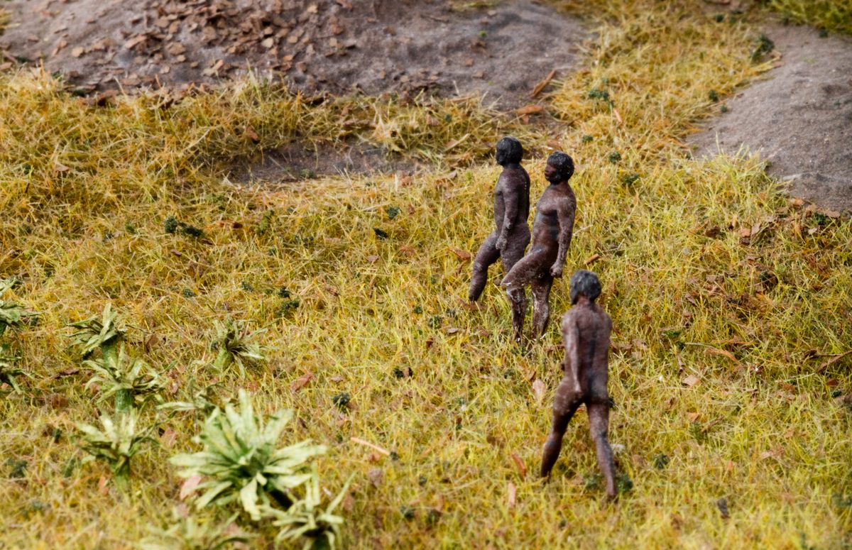 A group of Darug men watch as the forest is cut down.