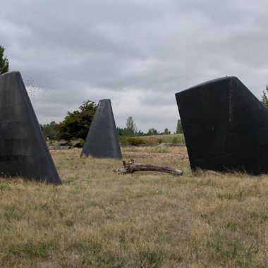 Fin Art at Magnuson Park