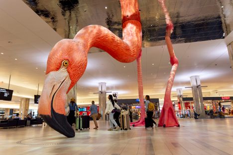 Officially titled “HOME,” Phoebe the Flamingo is a 21-foot-tall work of art by Matthew Mazzotta at Tampa International Airport. 