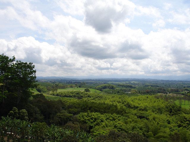 Landscape at the National Coffee Park in the Department of Quindio. 