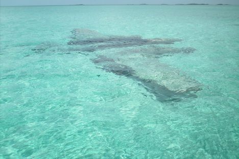 Underwater Plane Wreck Near Staniel Cay