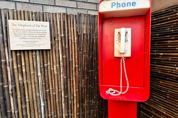 The Telephone of the Wind in Millvale