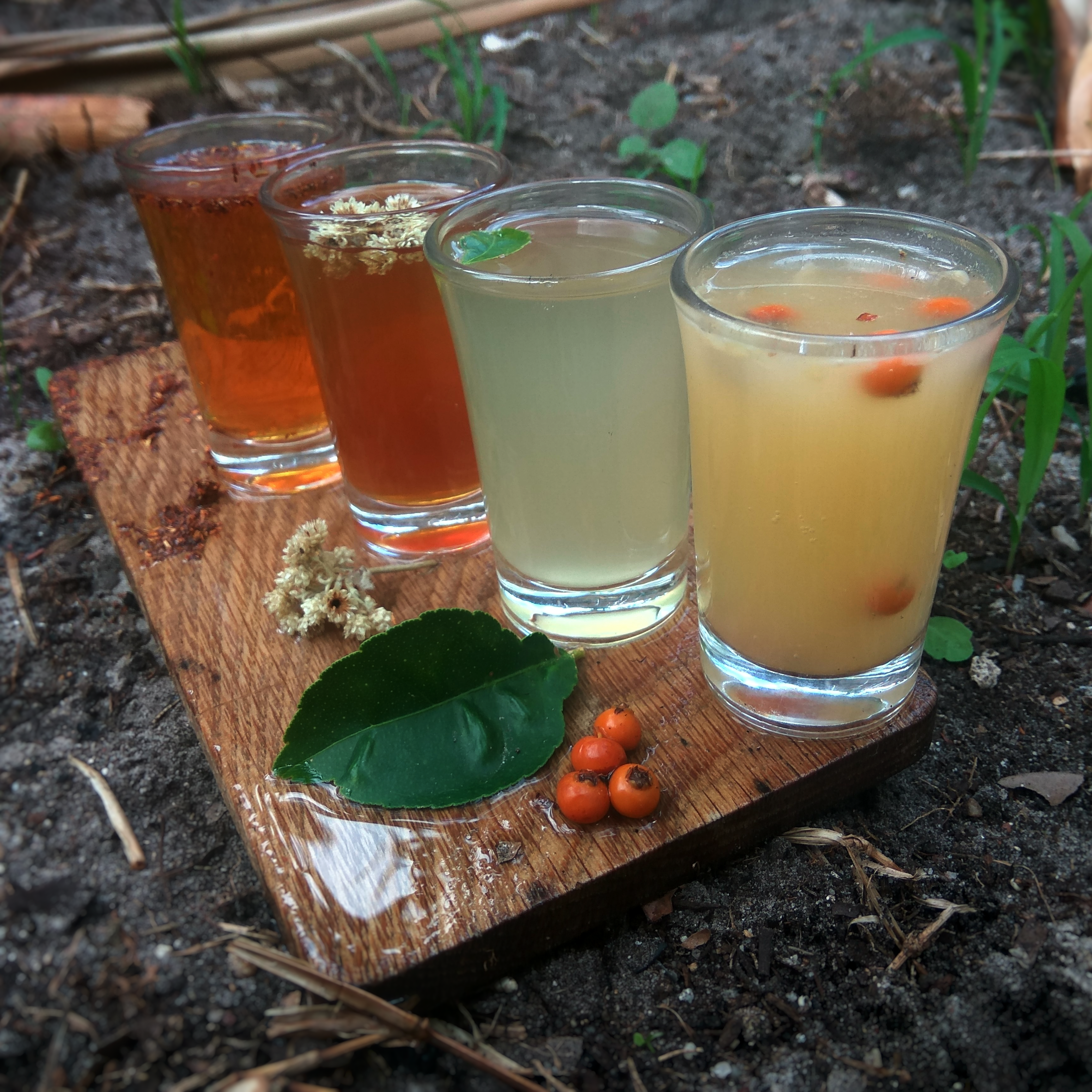 Four of Guzha's experimental drinks: rooibos kombucha, smoked imphepho cordial, lemon leaf soda, and firethorn berry cider.