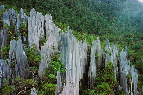 The Pinnacles of Gunung Mulu.