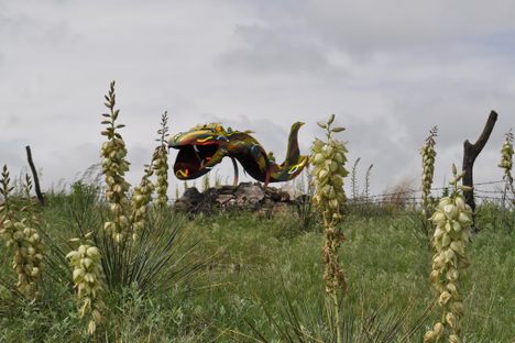 "Lot Lizard”  