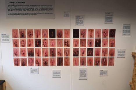 Vagina Museum