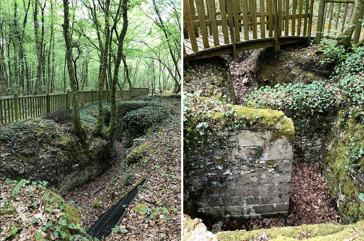 The woods of Saint-Mihiel are still covered in grooves and trenches, a hundred years after the end of the war.