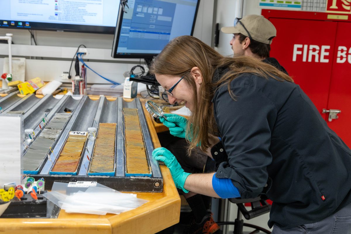 Beth Novak of the International Ocean Discovery Program takes a closer look at an intriguing sediment core. 