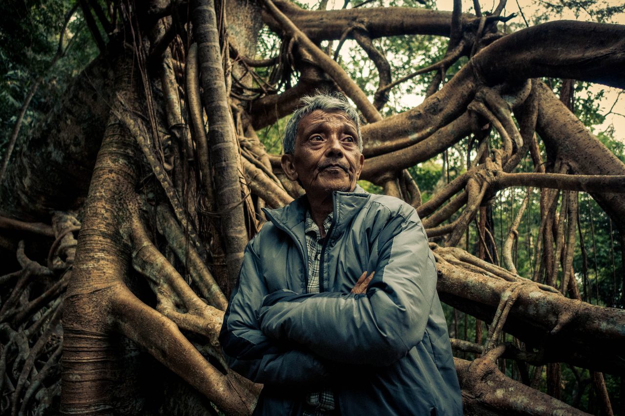 来自Siej村的68岁农民Hally War从他的祖父那里学会了建造京京桥的艺术——当地人称之为活的根桥。