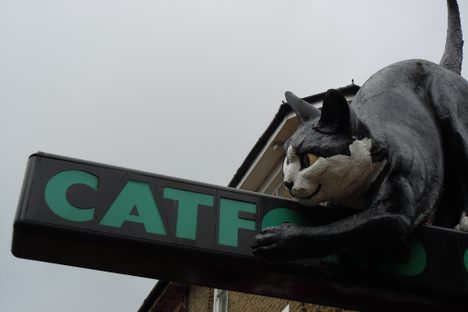 The Catford Cat looks like it's having fun.